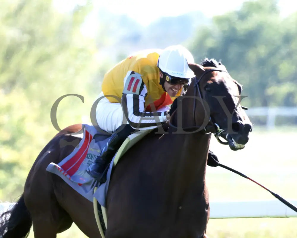 Goliad - The Mint Millions G3 09-07-24 R08 Kd Finish 02 Kentucky Downs
