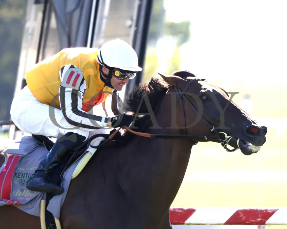 Goliad - The Mint Millions G3 09-07-24 R08 Kd Finish 03 Kentucky Downs