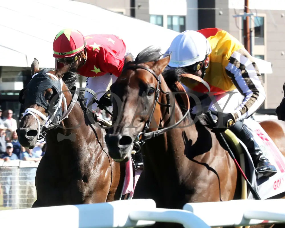 Goliad - The Mint Millions G3 09-07-24 R08 Kd Inside Finish 01 Kentucky Downs