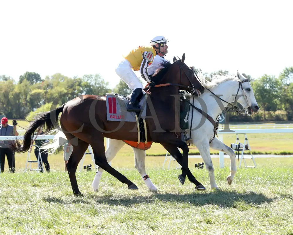 Goliad - The Mint Millions G3 09-07-24 R08 Kd Post Parade 02 Kentucky Downs