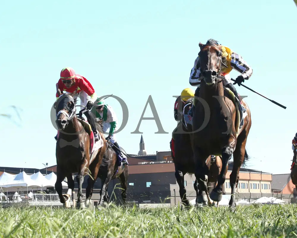 Goliad - The Mint Millions G3 09-07-24 R08 Kd Under Rail 01 Kentucky Downs