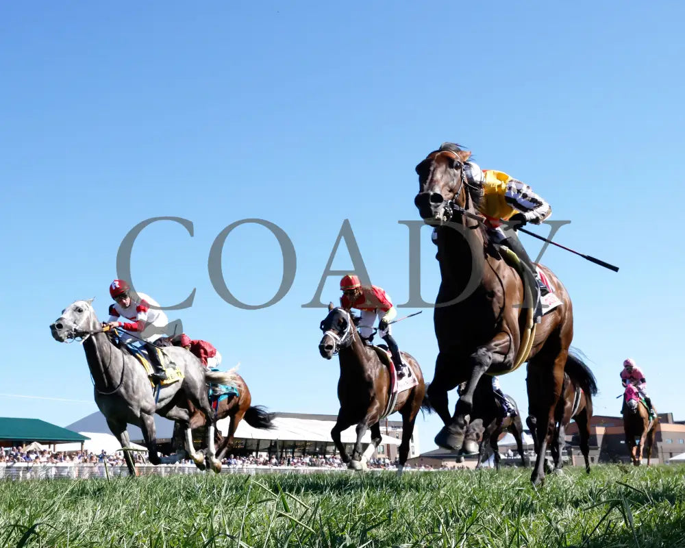 Goliad - The Mint Millions G3 09-07-24 R08 Kd Under Rail 02 Kentucky Downs
