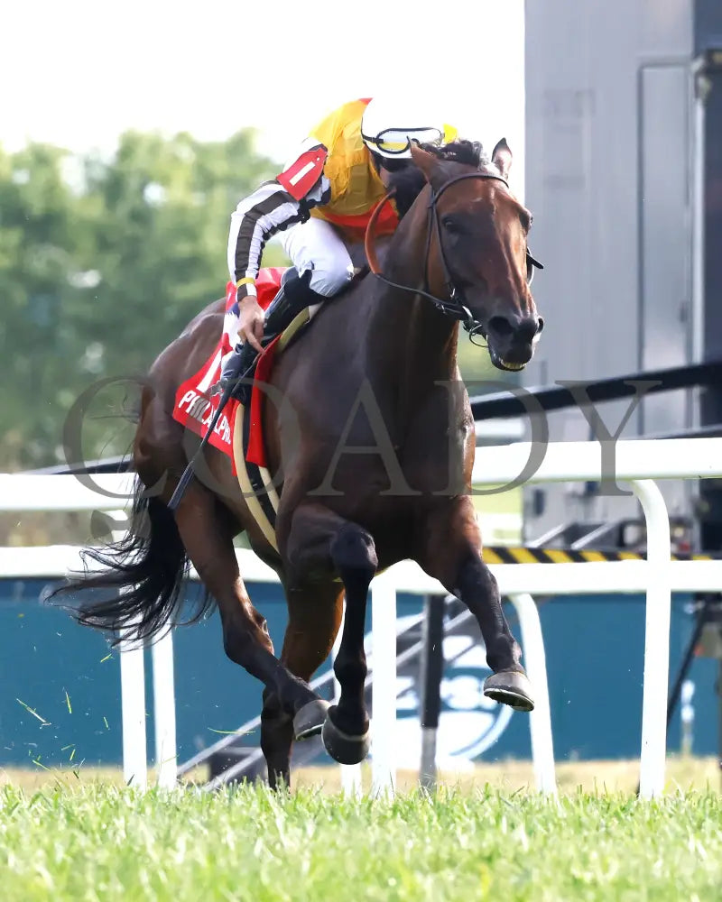 Goliad - The Sticker Mule Overnight Handicap 09-01-24 R09 Kd Finish 02 Kentucky Downs