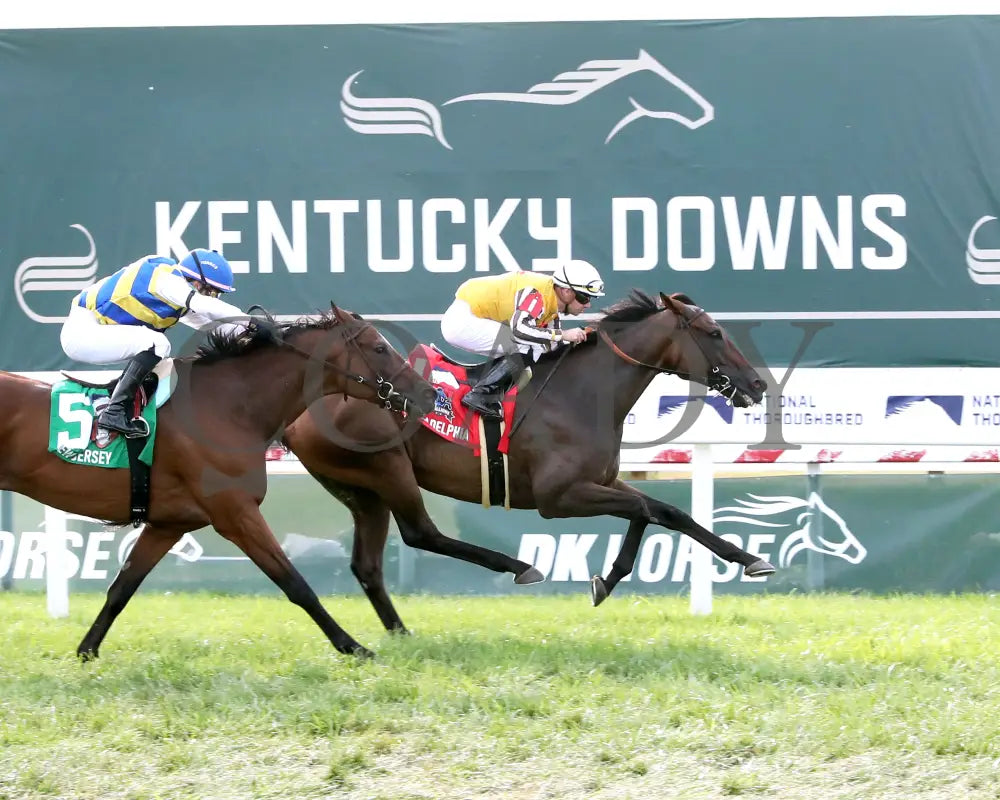 Goliad - The Sticker Mule Overnight Handicap 09-01-24 R09 Kd Finish 01 Kentucky Downs