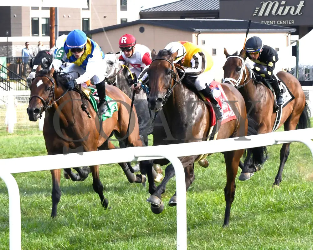 Goliad - The Sticker Mule Overnight Handicap 09-01-24 R09 Kd Inside Finish 02 Kentucky Downs