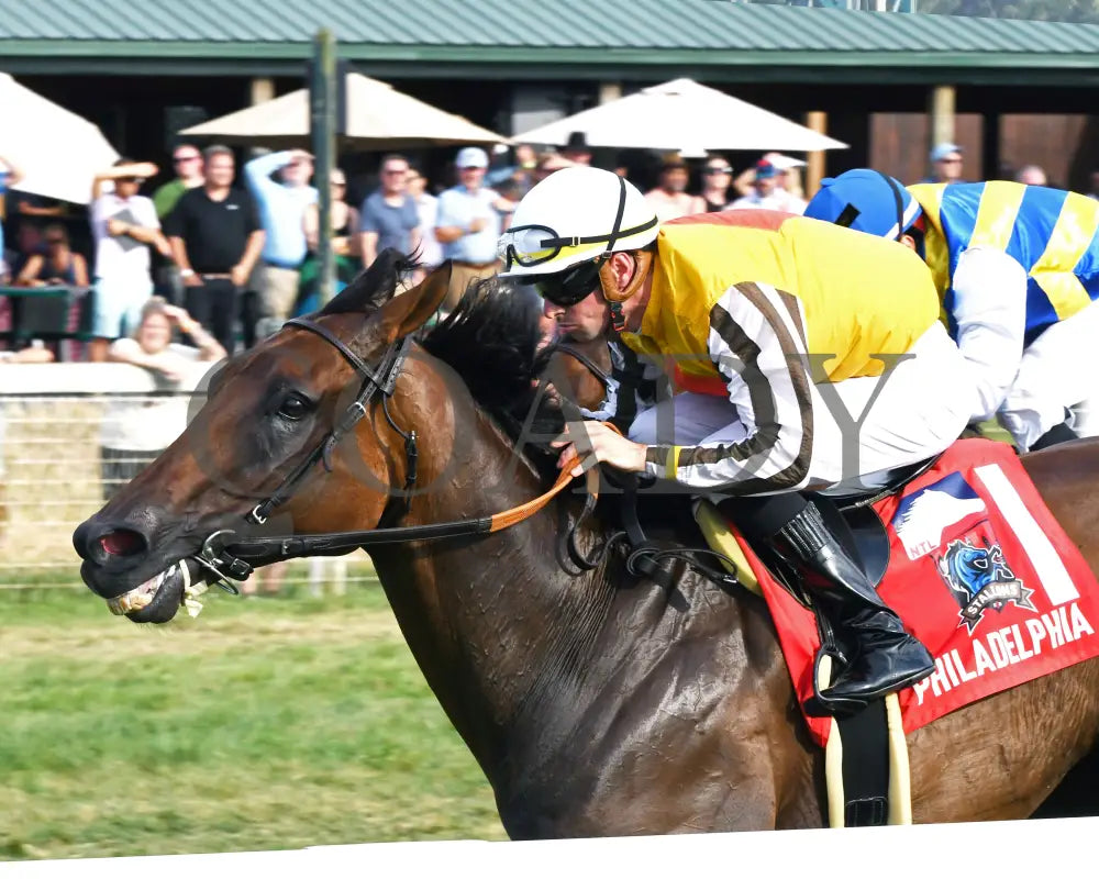 Goliad - The Sticker Mule Overnight Handicap 09-01-24 R09 Kd Inside Finish 01 Kentucky Downs