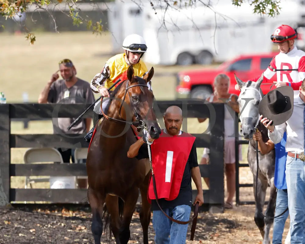 Goliad - The Sticker Mule Overnight Handicap 09-01-24 R09 Kd Paddock 01 Kentucky Downs