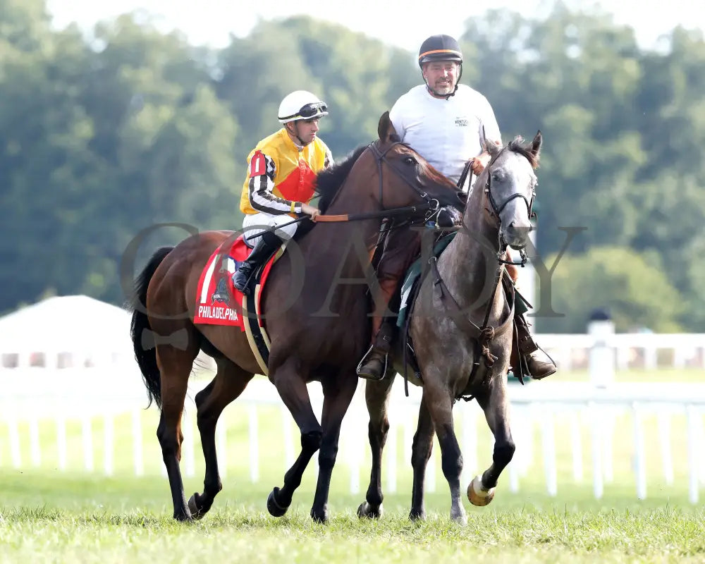 Goliad - The Sticker Mule Overnight Handicap 09-01-24 R09 Kd Post Parade 01 Kentucky Downs