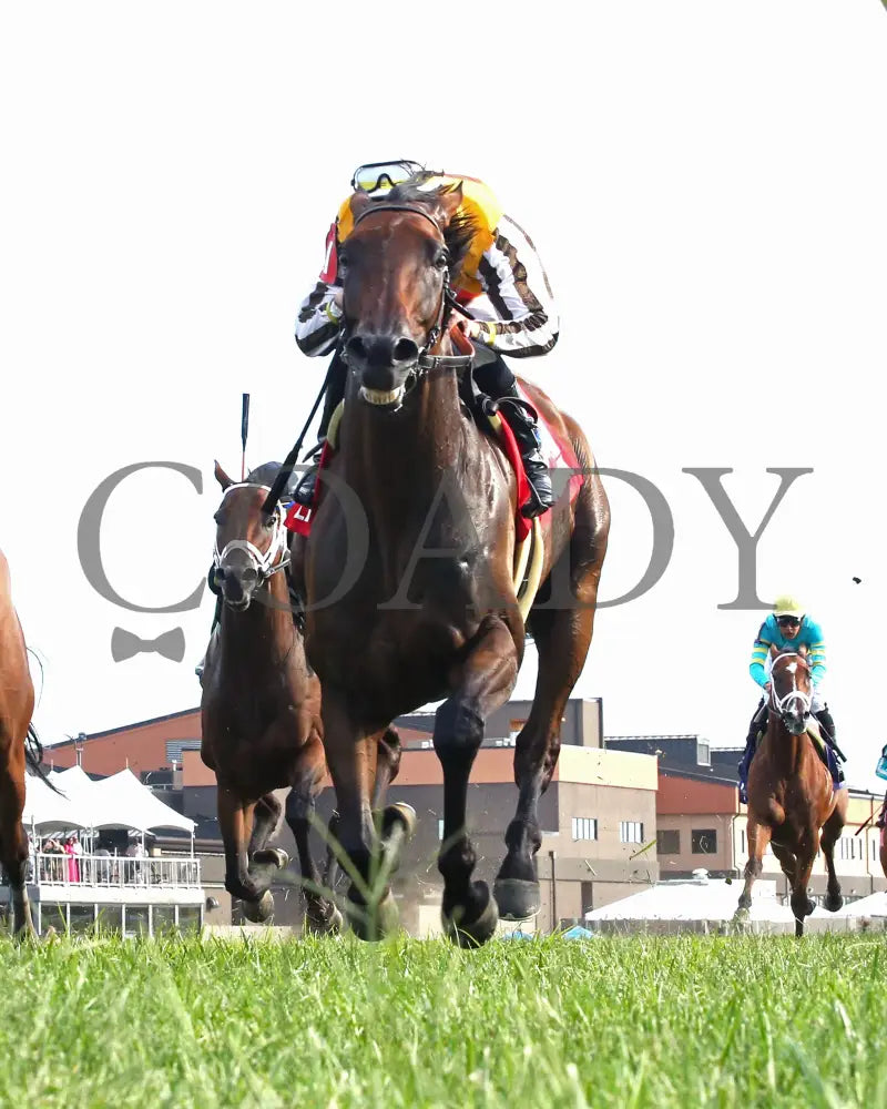 Goliad - The Sticker Mule Overnight Handicap 09-01-24 R09 Kd Under Rail 02 Kentucky Downs