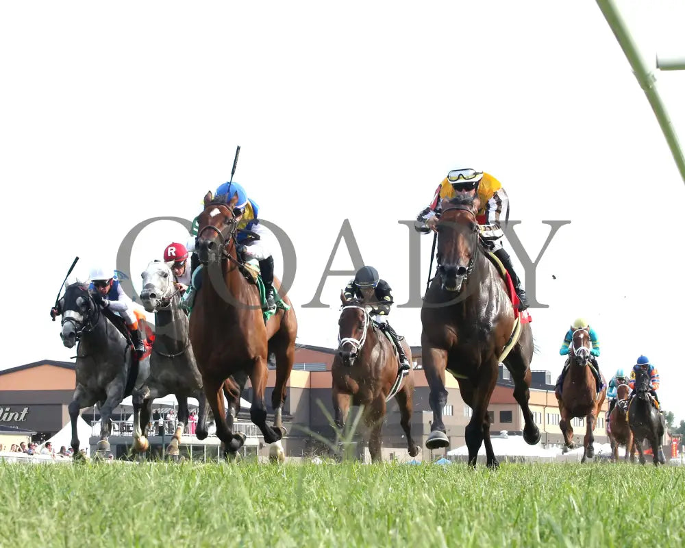 Goliad - The Sticker Mule Overnight Handicap 09-01-24 R09 Kd Under Rail 01 Kentucky Downs