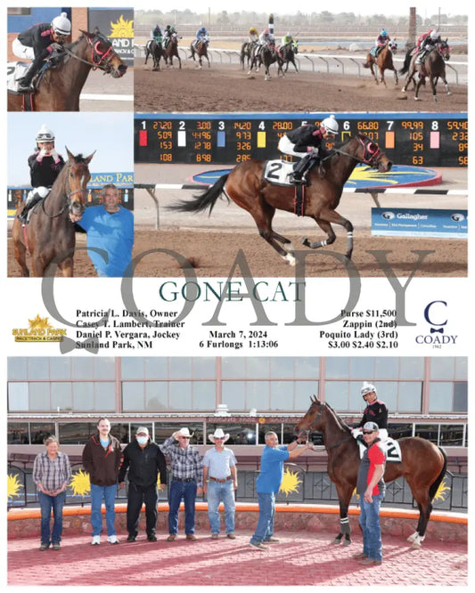 Gone Cat - 03 - 07 - 24 R09 Sun Sunland Park