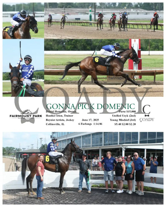 GONNA PICK DOMENIC - 06-17-25 - R08 - FP Fanduel Sportsbook Horse Racing