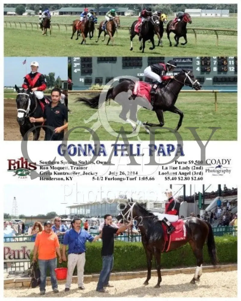 Gonna Tell Papa - 072614 Race 04 Elp Ellis Park