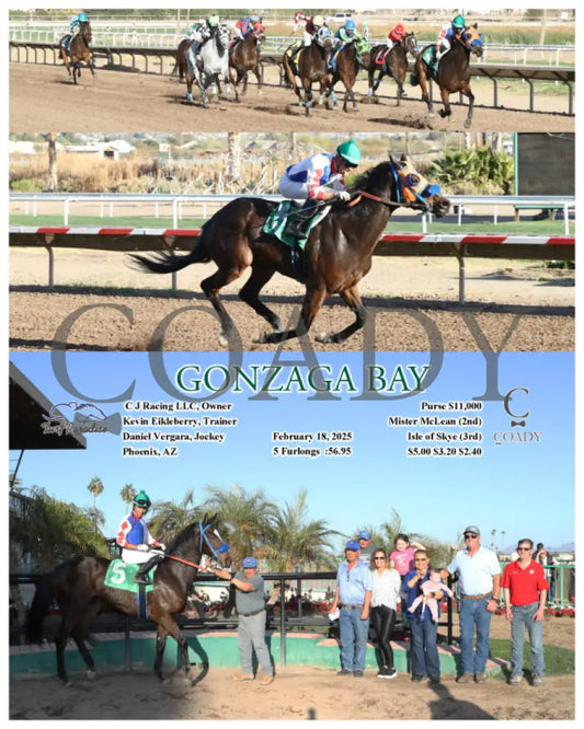 GONZAGA BAY - 02-18-25 - R09 - TUP Turf Paradise