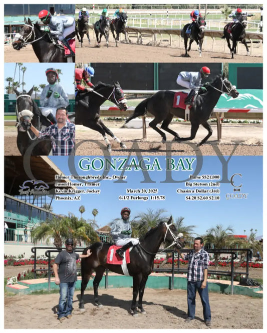 GONZAGA BAY - Arizona Stallion Handicap - 03-20-25 - R03 - TUP Turf Paradise
