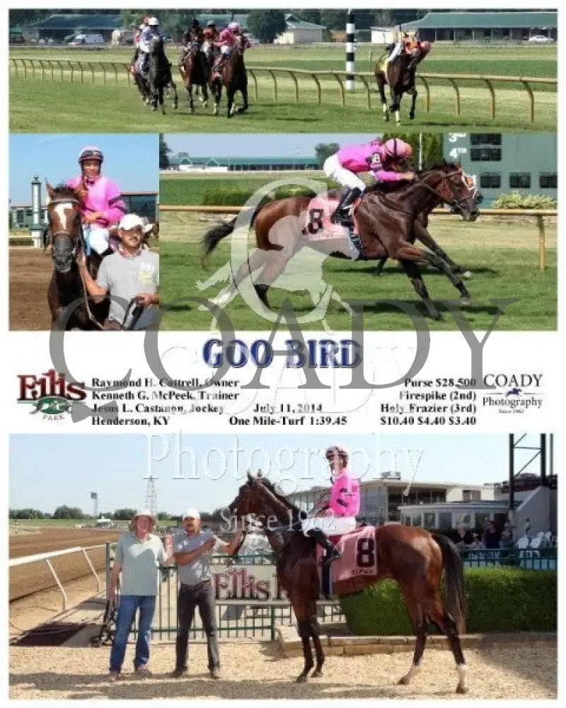 Goo Bird - 071114 Race 08 Elp Ellis Park