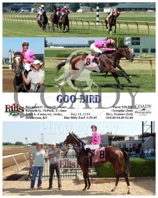 Goo Bird - 071114 Race 08 Elp Ellis Park