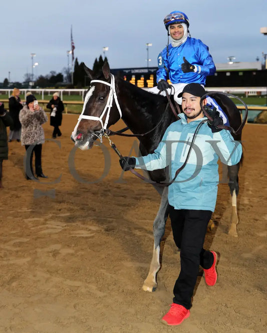 Good Cheer - The Golden Rod G2 11-30-24 R09 Cd Come Back 01 Churchill Downs