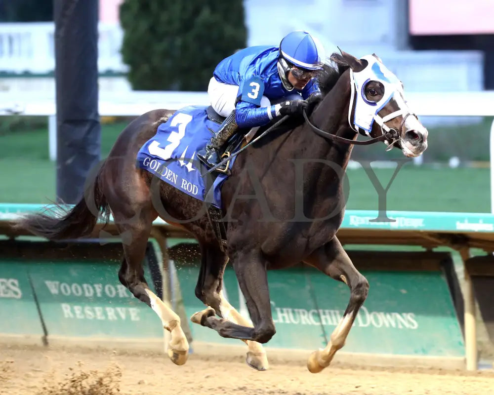 Good Cheer - The Golden Rod G2 11-30-24 R09 Cd Finish 02 Churchill Downs