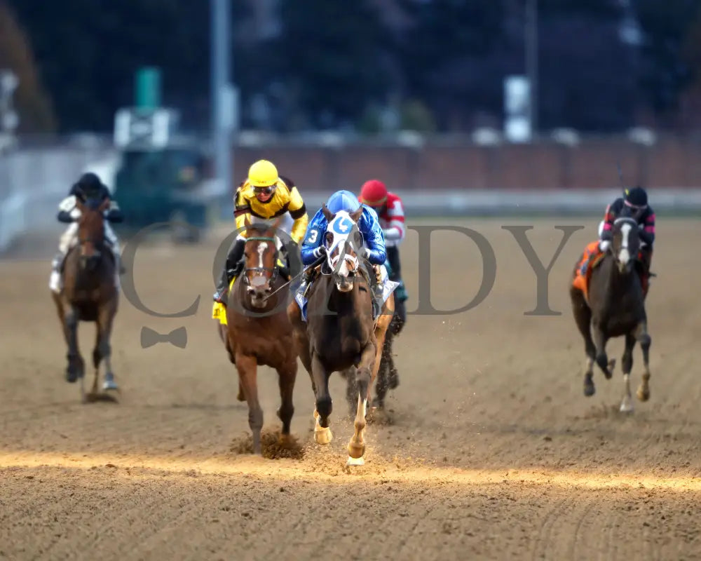 Good Cheer - The Golden Rod G2 11-30-24 R09 Cd Head On 01 Churchill Downs