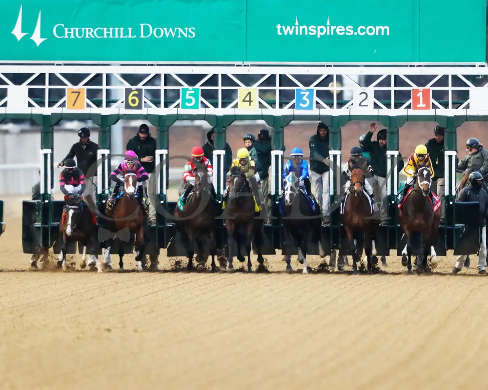 Good Cheer - The Golden Rod G2 11-30-24 R09 Cd Start 01 Churchill Downs