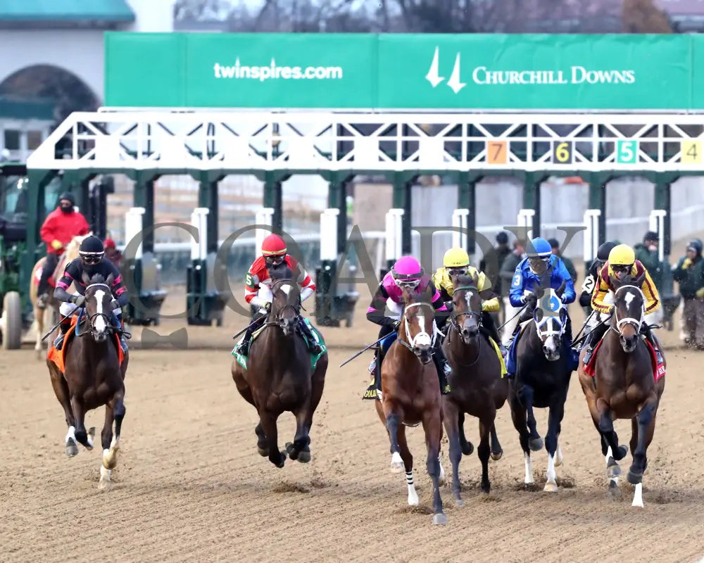 Good Cheer - The Golden Rod G2 11-30-24 R09 Cd Start 02 Churchill Downs