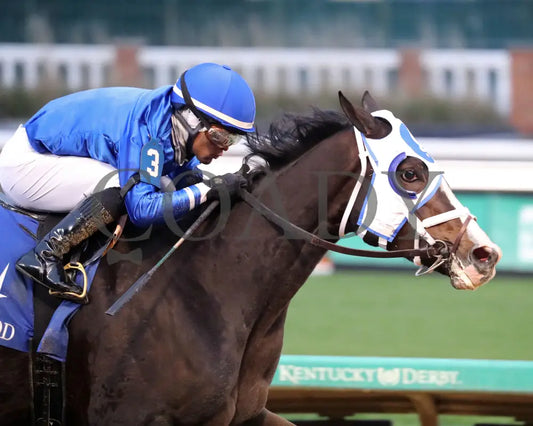 Good Cheer - The Golden Rod G2 11-30-24 R09 Cd Tight Finish 01 Churchill Downs