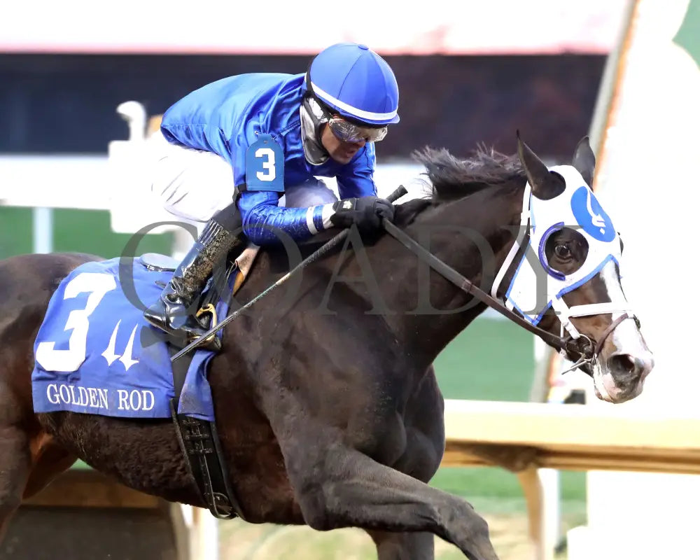 Good Cheer - The Golden Rod G2 11-30-24 R09 Cd Tight Finish 02 Churchill Downs