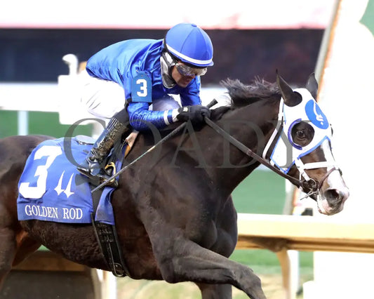 Good Cheer - The Golden Rod G2 11-30-24 R09 Cd Tight Finish 02 Churchill Downs