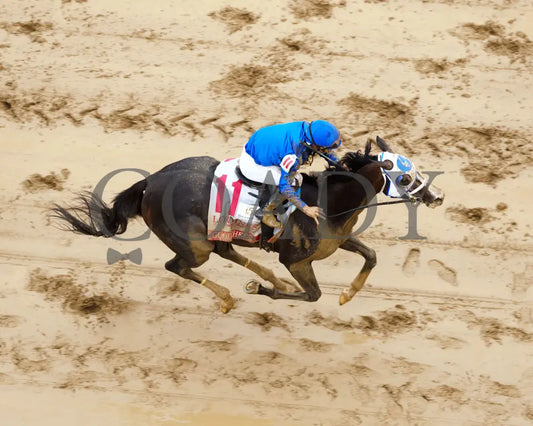 GOOD CHEER - The Longines Kentucky Oaks G1 - 151st Running - 05-02-25 - R11 - CD - Aerial Finish 01 Churchill Downs
