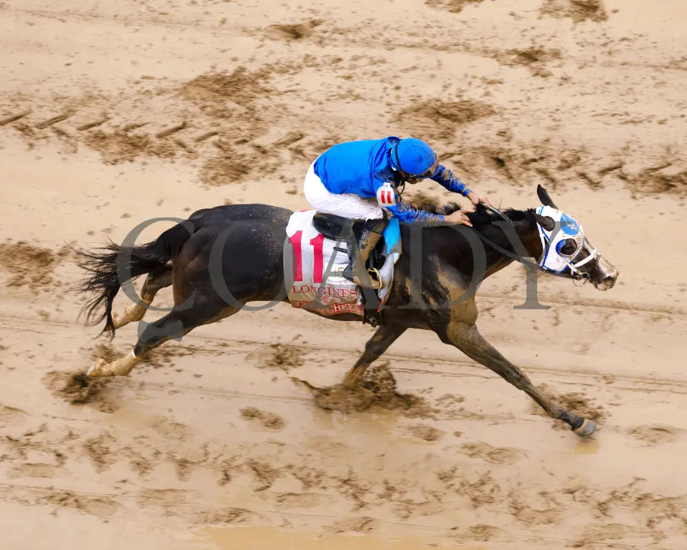 GOOD CHEER - The Longines Kentucky Oaks G1 - 151st Running - 05-02-25 - R11 - CD - Aerial Finish 02 Churchill Downs