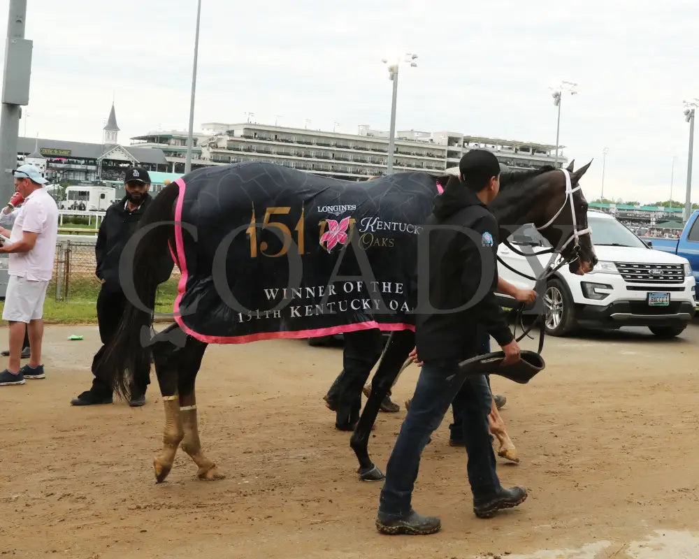 GOOD CHEER - The Longines Kentucky Oaks G1 - 151st Running - 05-02-25 - R11 - CD - Barn 01 Churchill Downs