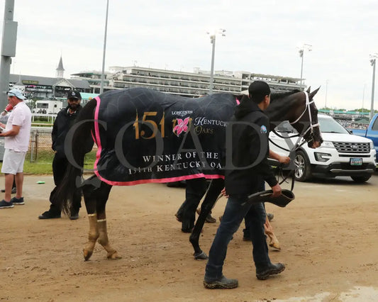 GOOD CHEER - The Longines Kentucky Oaks G1 - 151st Running - 05-02-25 - R11 - CD - Barn 01 Churchill Downs