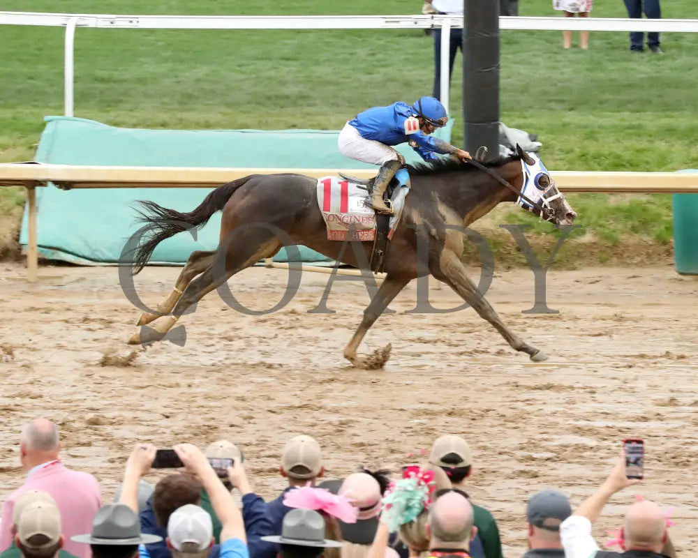 GOOD CHEER - The Longines Kentucky Oaks G1 - 151st Running - 05-02-25 - R11 - CD - Finish 04 Churchill Downs