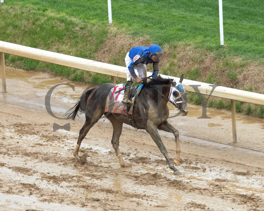 GOOD CHEER - The Longines Kentucky Oaks G1 - 151st Running - 05-02-25 - R11 - CD - Gallop Out 01 Churchill Downs