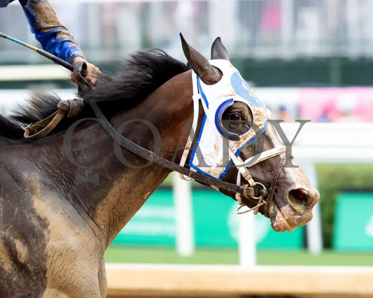 GOOD CHEER - The Longines Kentucky Oaks G1 - 151st Running - 05-02-25 - R11 - CD - Gallop Out 02 Churchill Downs