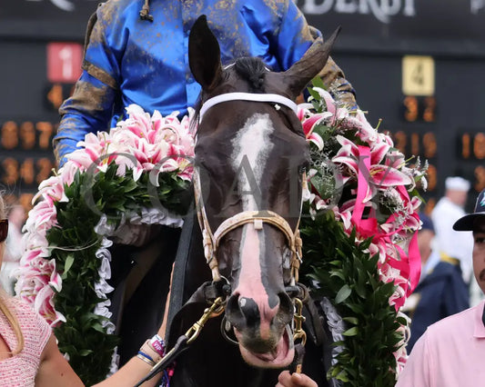 GOOD CHEER - The Longines Kentucky Oaks G1 - 151st Running - 05-02-25 - R11 - CD - Garland 04 Churchill Downs