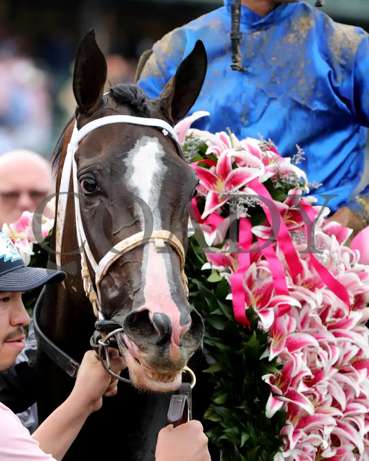 GOOD CHEER - The Longines Kentucky Oaks G1 - 151st Running - 05-02-25 - R11 - CD - Garland 02 Churchill Downs