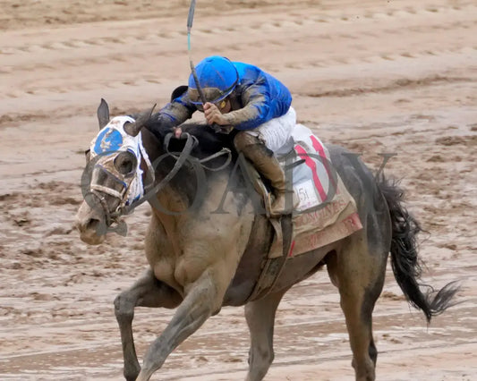 GOOD CHEER - The Longines Kentucky Oaks G1 - 151st Running - 05-02-25 - R11 - CD - Inside Finish 07 Churchill Downs