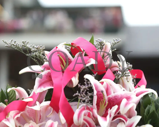 GOOD CHEER - The Longines Kentucky Oaks G1 - 151st Running - 05-02-25 - R11 - CD - Lillies 01 Churchill Downs