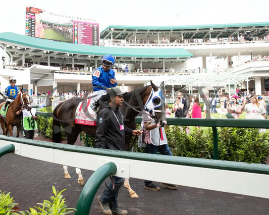 GOOD CHEER - The Longines Kentucky Oaks G1 - 151st Running - 05-02-25 - R11 - CD - Paddock 01 Churchill Downs