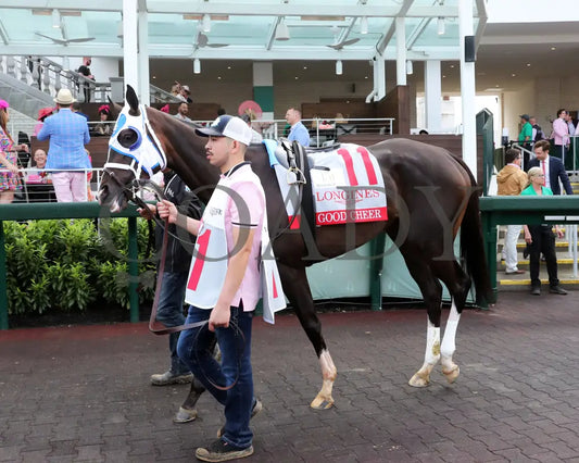 GOOD CHEER - The Longines Kentucky Oaks G1 - 151st Running - 05-02-25 - R11 - CD - Paddock 04 Churchill Downs