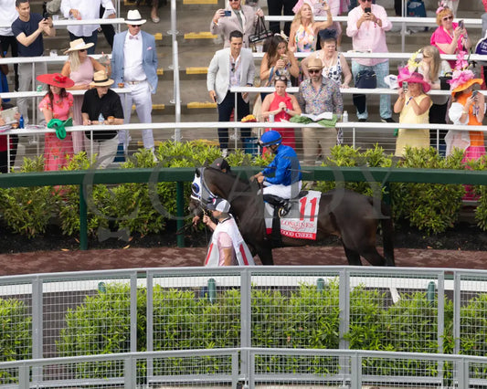 GOOD CHEER - The Longines Kentucky Oaks G1 - 151st Running - 05-02-25 - R11 - CD - Paddock 06 Churchill Downs