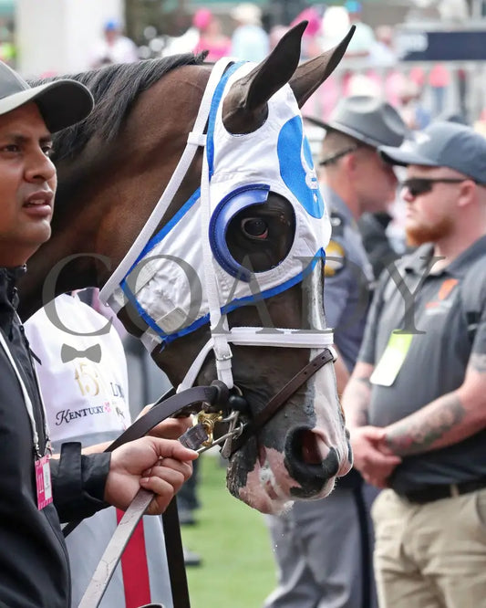 GOOD CHEER - The Longines Kentucky Oaks G1 - 151st Running - 05-02-25 - R11 - CD - Paddock 07 Churchill Downs