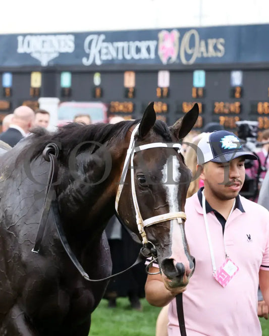 GOOD CHEER - The Longines Kentucky Oaks G1 - 151st Running - 05-02-25 - R11 - CD - Post Race 05 Churchill Downs