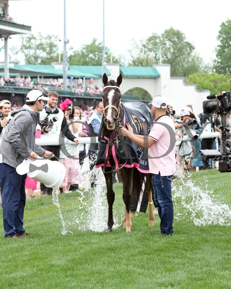 GOOD CHEER - The Longines Kentucky Oaks G1 - 151st Running - 05-02-25 - R11 - CD - Walk Back 01 Churchill Downs