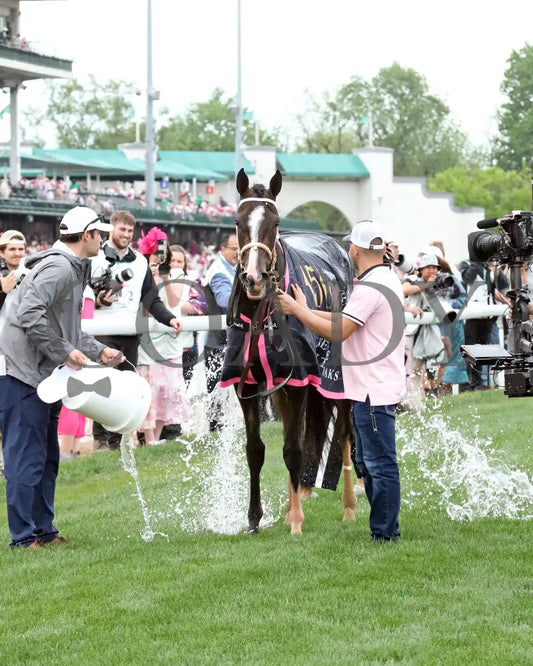 GOOD CHEER - The Longines Kentucky Oaks G1 - 151st Running - 05-02-25 - R11 - CD - Walk Back 01 Churchill Downs