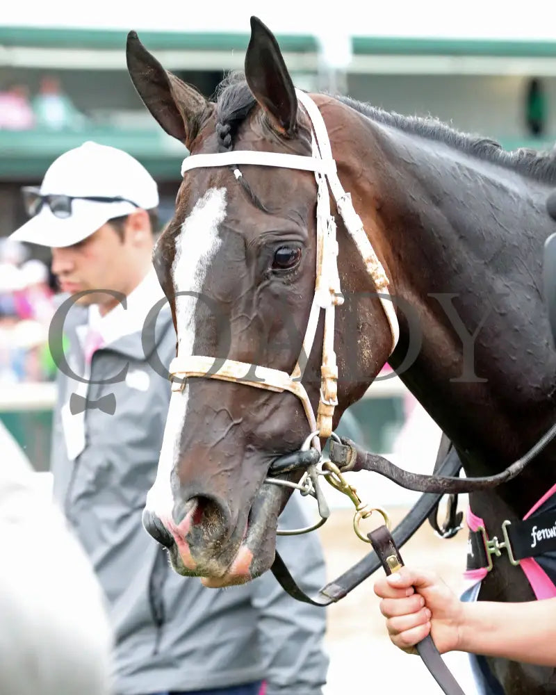 GOOD CHEER - The Longines Kentucky Oaks G1 - 151st Running - 05-02-25 - R11 - CD - Walk Back 03 Churchill Downs