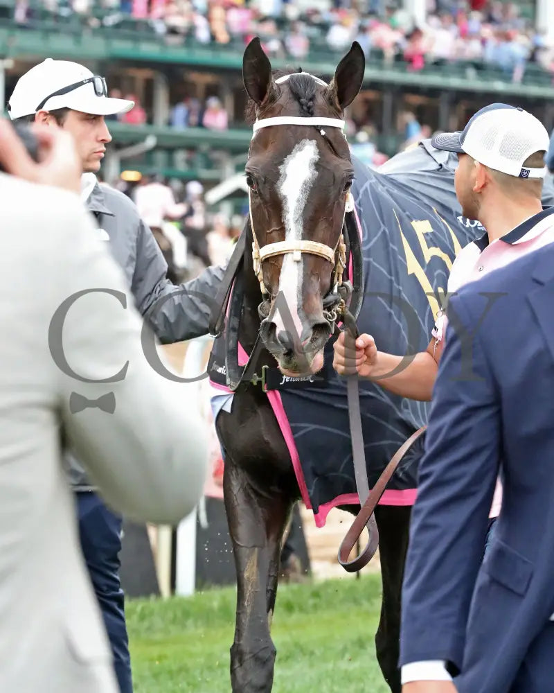 GOOD CHEER - The Longines Kentucky Oaks G1 - 151st Running - 05-02-25 - R11 - CD - Walk Back 02 Churchill Downs