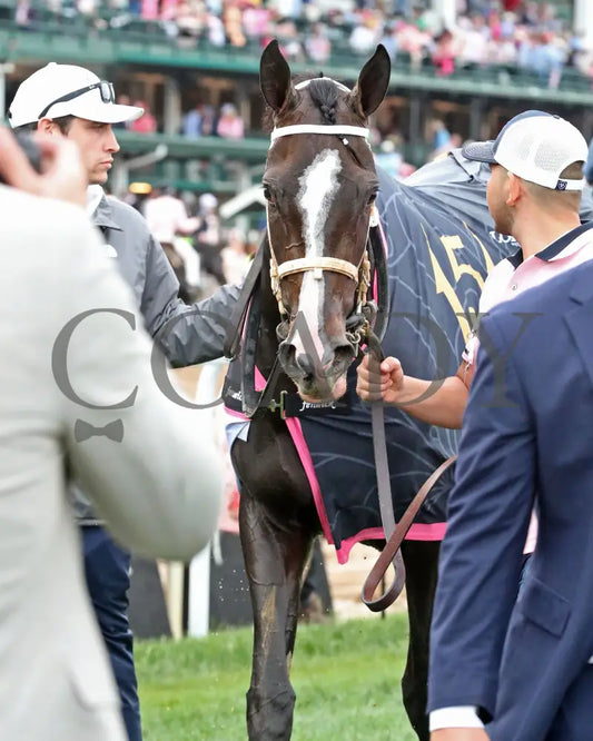 GOOD CHEER - The Longines Kentucky Oaks G1 - 151st Running - 05-02-25 - R11 - CD - Walk Back 02 Churchill Downs